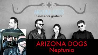Arizona dogs - Neptunia