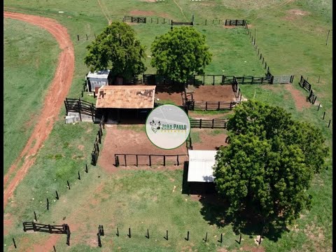 FAZENDA A VENDA EM MOZARLANDIA-GO - 363 HECTARES