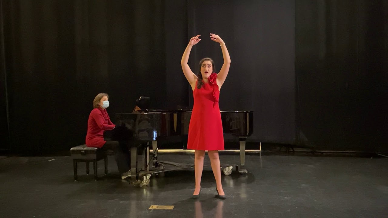 Promotional video thumbnail 3 for Classical Musician