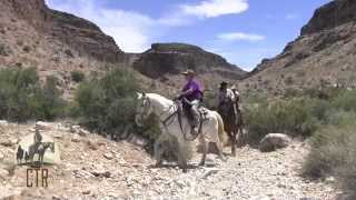 Horseback riding in Las Vegas with Cowboy Trail Rides