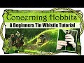 Lord Of The Rings - Concerning Hobbits - BEGINNERS TIN WHISTLE TUTORIAL