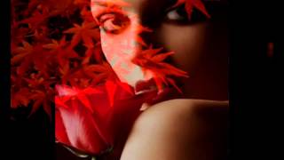 Schiller and Moya Brennan Falling