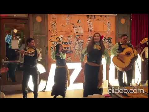 Promotional video thumbnail 5 for Musica para toda ocasion y convenciones