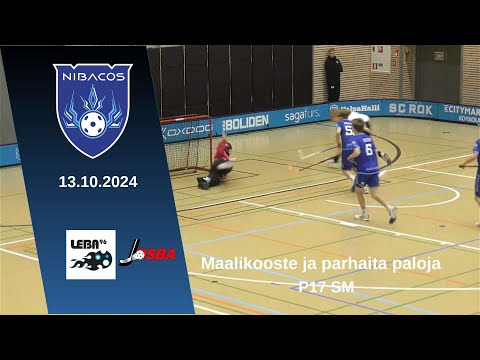P17 SM Nibacos - LeBa/Josba 13.10.2024 maalikooste