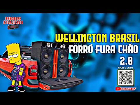 🇧🇷 FORRÓ DO INTERIOR 2.0 - FORRÓ FURA CHÃO - WELLINGTON BRASIL FAZENDO VC DANÇA.