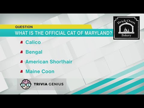 image-What is the official animal of Maryland?