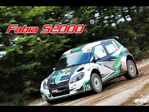Testes 2017 | Hugo Mesquita - Skoda Fabia S2000 [Full HD]