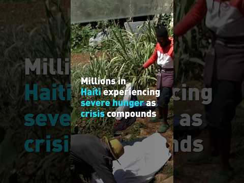 Millions in Haiti experiencing severe hunger as crisis compounds