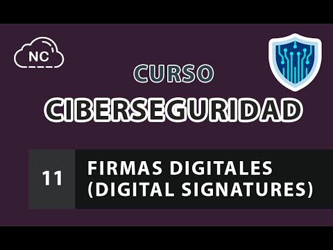 Curso de Ciberseguridad desde 0 Conclusión 27