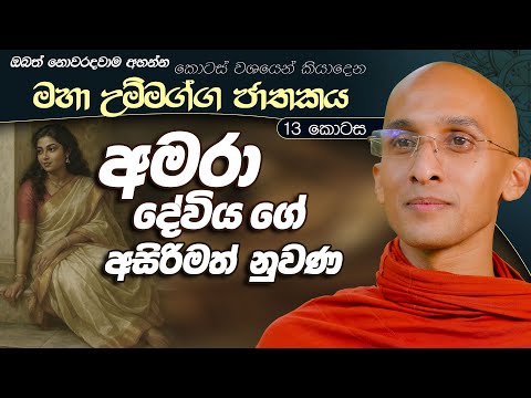 403. අමරා දේවියගේ අසිරිමත් නුවණ | මහා උම්මග්ග ජාතකය 13 | 2024.07.17
