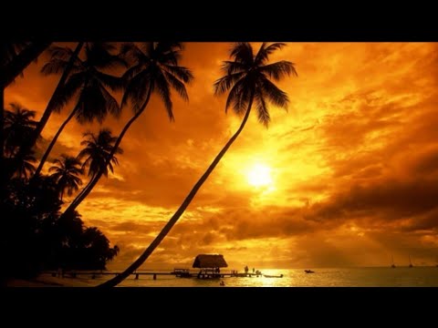 Die Rettung der Gerechten kommt von dem Herrn; er ist ihre Zuflucht zur Zeit der Drangsal.