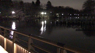 えーた のライブ ストリーム