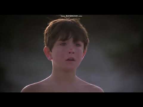 The Black Stallion- Beauty and the Beach/Magnificent Horse Scene in HD