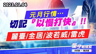 【量子戰情室】#陳武傑 0104 元月行情…切記『以慢打快』!! 麗臺/金居/波若威/雷虎 (圖)