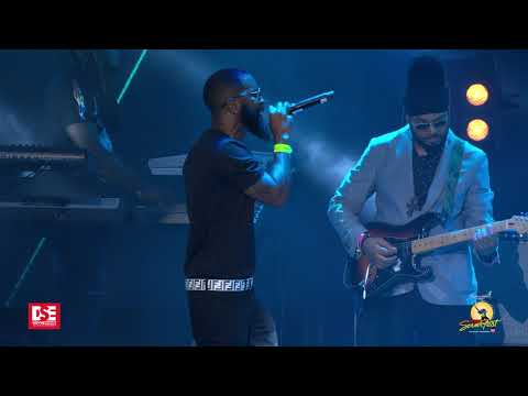 Dre Zee & Faice - Reggae Sumfest 2019 (Part 1 of 2)