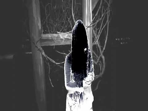 THOUXANBANFAUNI - RED TEE (OFFICIAL MUSIC VIDEO) 