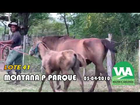 Lote MONTANA P PARQUE