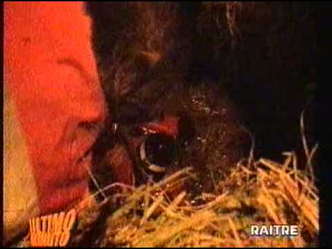 Trasmissione Ultimo Minuto - Episodio Vigili del Fuoco di Rimini