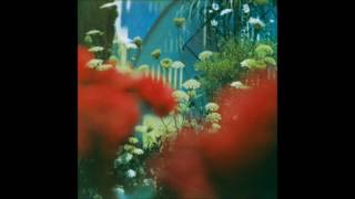 Pulled Apart by Horses - Neighbourhood Witch