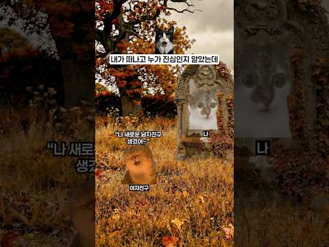 내가 떠나고 누가 진심인지 알았는데…