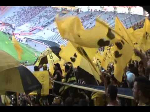 "Recibimiento de la hinchada de Peñarol en La Plata vs Estudiantes" Barra: Barra Amsterdam &bull; Club: Peñarol