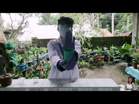 Science Experiment By My Son | Calcium Carbide & Water Reaction