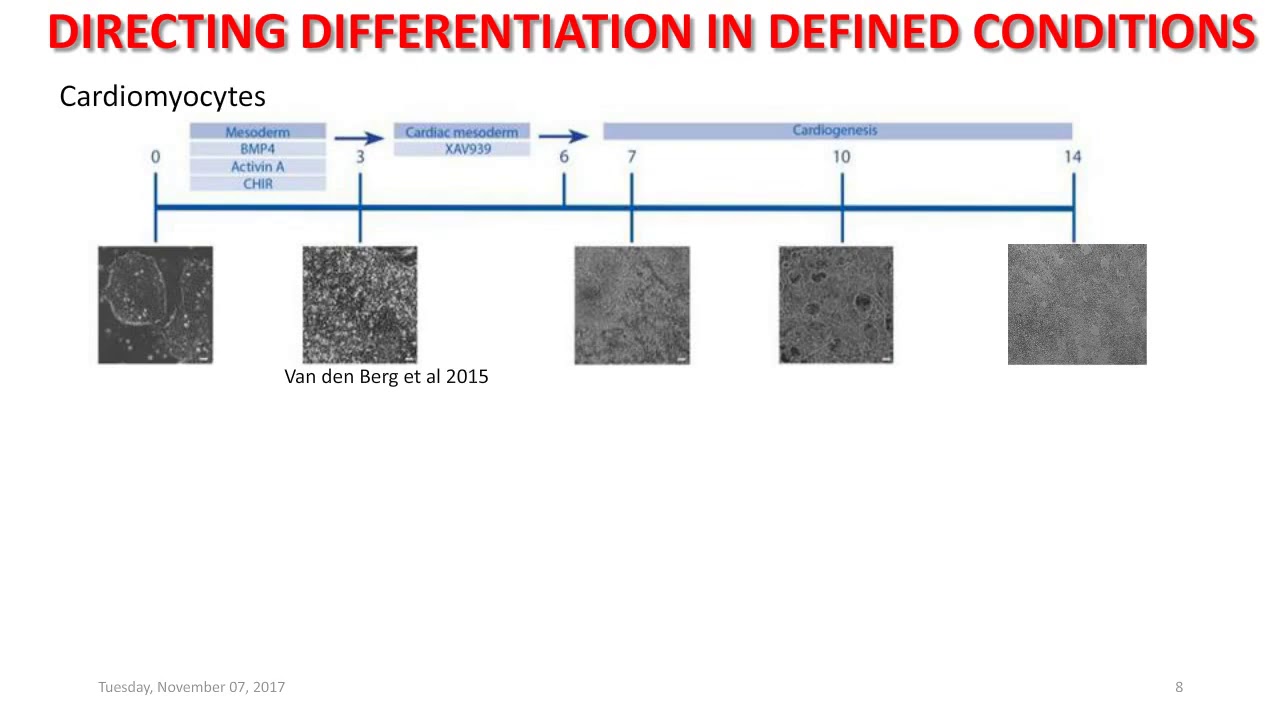 Human pluripotent stem cells in understanding genetic cardiovascular disease and effects of drugs