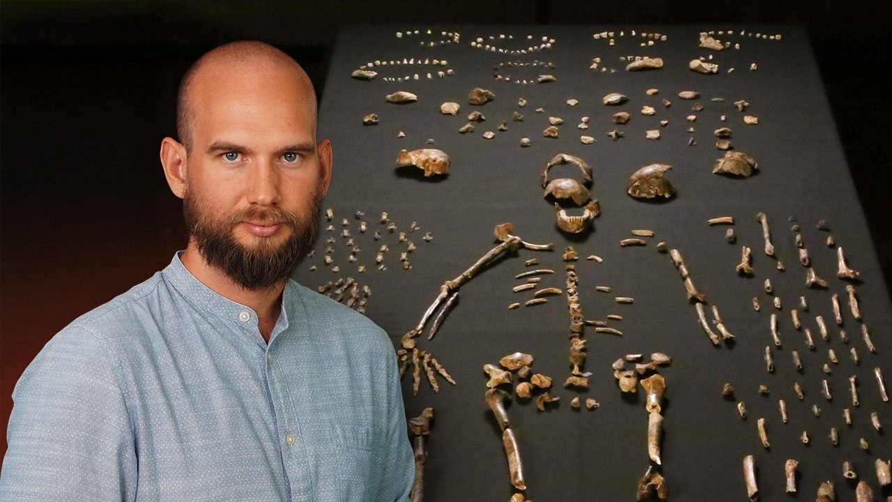 The discovery of Homo naledi has messed things up a bit...