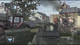 【Bo2 PS5版】仲良くTDMやるだけの動画 