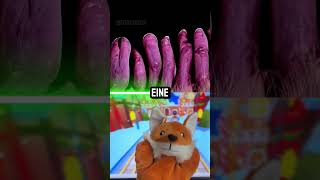 Alltägliche Dinge, die unter dem Mikroskop wie aus einem Albtraum aussehen