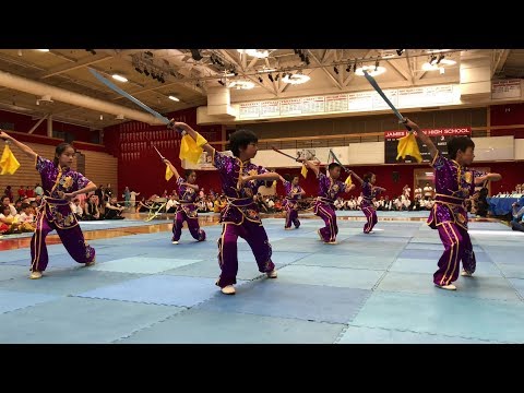 Wushu Sword Performance ~ Eagle Claw Kung Fu Competition Masters Exhibition