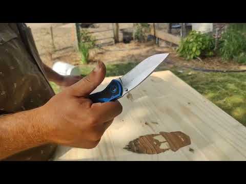 Kershaw Blur - 2 year carry review