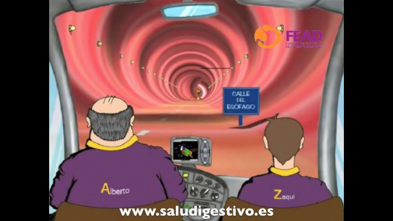 Viaje virtual por el Sistema Digestivo - La primera digestión de Zaqui