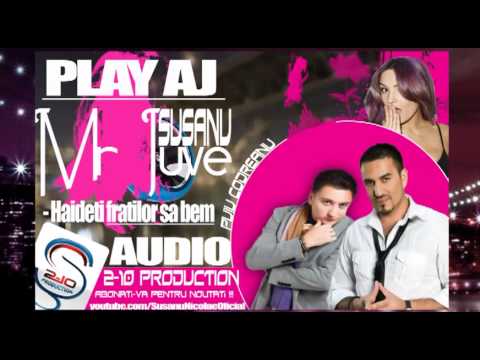 Puiu Codreanu si Play Aj - Haideti fratilor sa bem  (Mr Juve & Susanu)