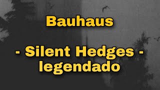 Bauhaus - Silent Hedges (legendado/ tradução)