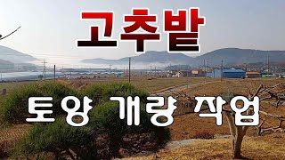 [텃밭농부.945]  고추밭에 토양 개량작업 #고추재배