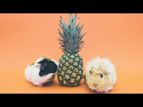 bàwldy x TVBOO -  Slackin'