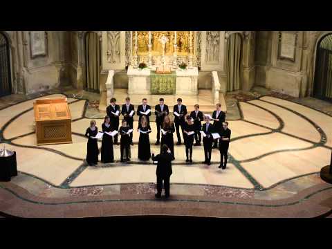 Schaffe in mir, Gott (Hammerschmidt) | Ensemble Musica Sacra