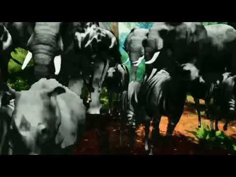 animal stampede in forest /Elephant Stampede / animals stampede / stampede / animals / wild animals