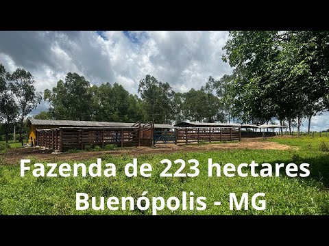 Fazenda de Porteira Fechada em Buenópolis – Minas Gerais | Oportunidade Única no Coração do Estado