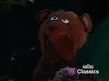 Sesame Street Episode 3778 Telly And Baby Bear Go Camping Full Sence Part Finale