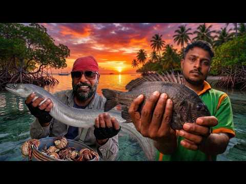 Best Natural Bait? Live Hermit Crabs Catch Black breams & Eels | තාපස කකුලු ඇම | #NatureFishing😲🎣🔥