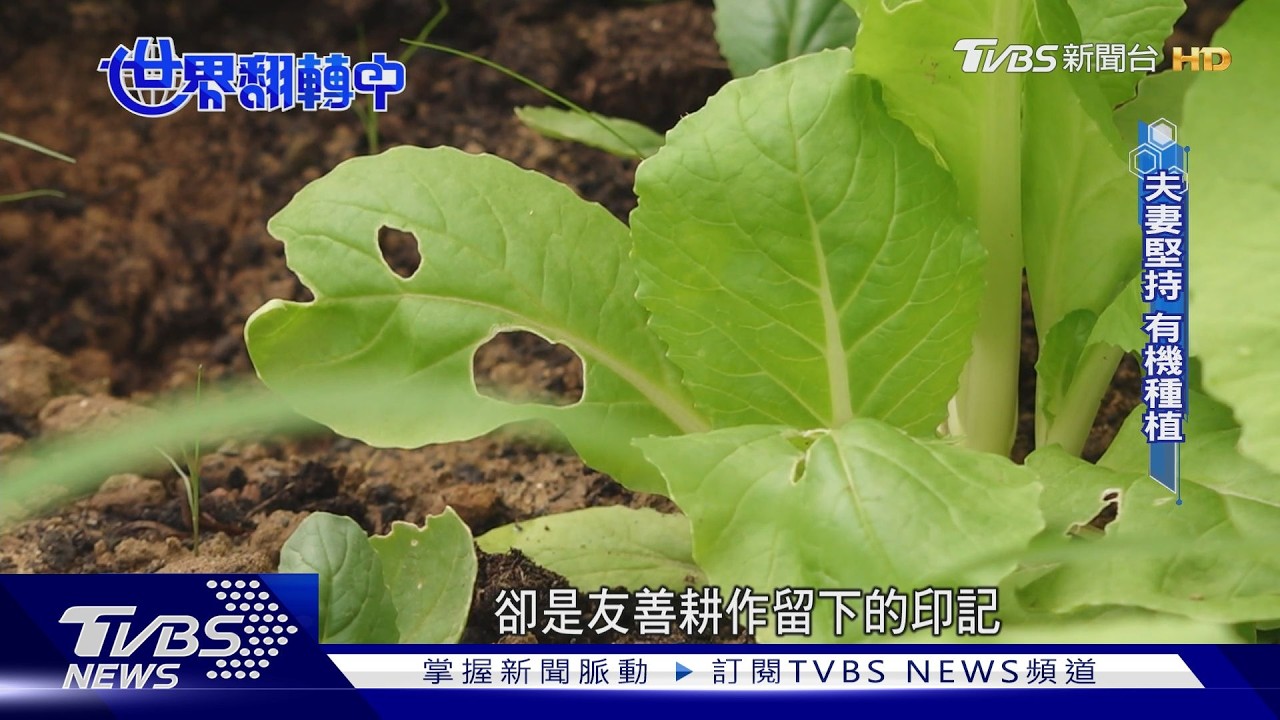 不只賣菜還送暖！連鎖超市近700家門市挺小農 行動超市車深入偏鄉