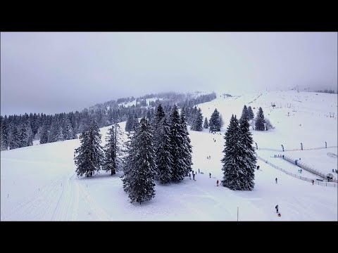 Feldberg (1493m) | Infos und Vorbereitungen für den höchsten Berg im Schwarzwald