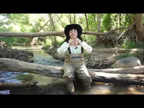 ADEQ Citizen Science