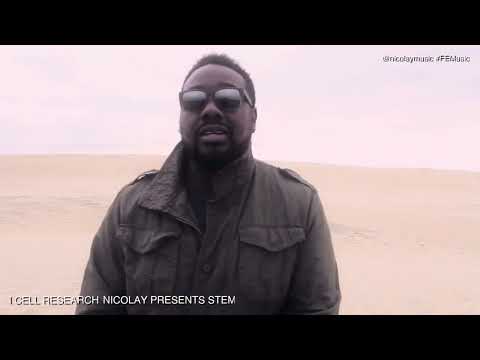 Nicolay Music and #FEMusic