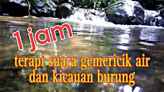 Download lagu 1 jam suara gemericik air dan kicauan burung, terapi burung stres macet bunyi mp3