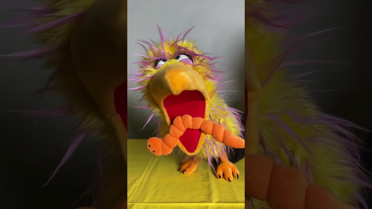 YouTube Shorts anklicken zum Abspielen
