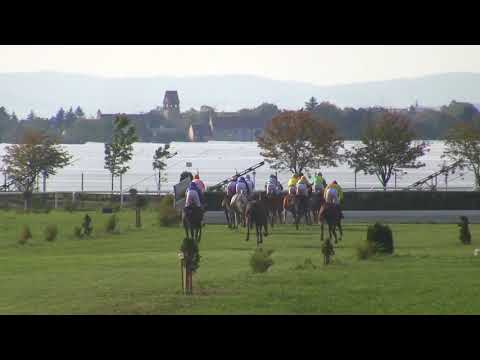 BR, 30. 9. 2017, 6. dostih - Cena společnosti AGA VLACHOVICE