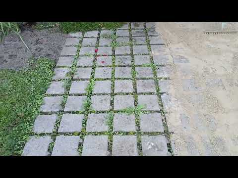 Terrasse dauerhaft von Unkraut/Moos entfernen - Siehe auch Beschreibung